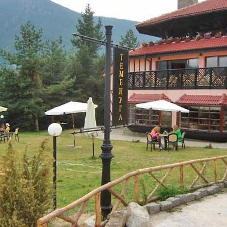 פניצ'ישטה Hotel Temenuga מראה חיצוני תמונה